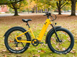 electra tandem bicycle Micargi Raiatea 500W Electric The Micargi Aloha is a 500W electric tandem ebike enough power to help two riders get to where they need to go 2023 Electra Tandem 7i Value