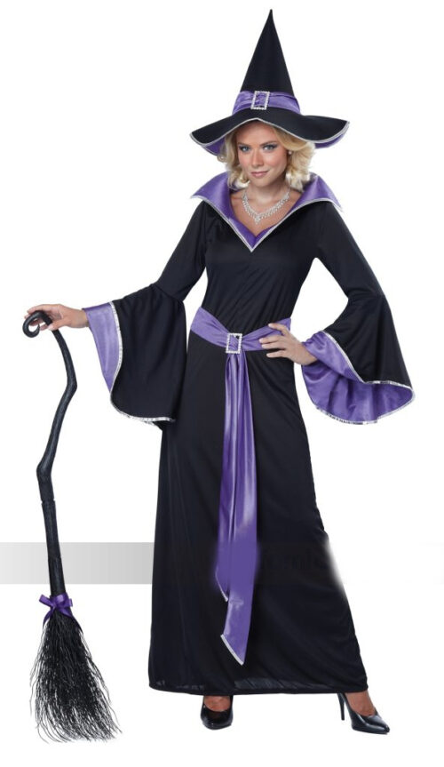California Costumes Incantasia, The Glamour Witch (Large)